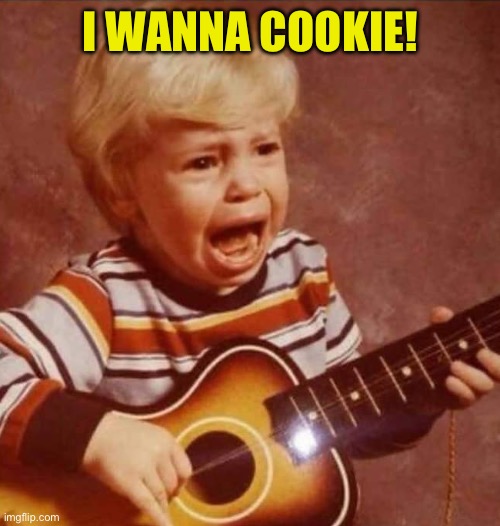 And this next song | I WANNA COOKIE! | image tagged in and this next song | made w/ Imgflip meme maker