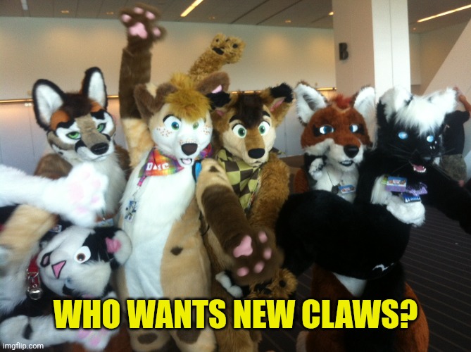 Furries | WHO WANTS NEW CLAWS? | image tagged in furries | made w/ Imgflip meme maker