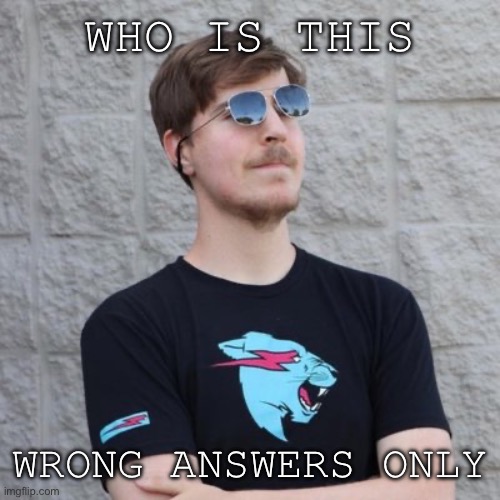 Who is it | WHO IS THIS; WRONG ANSWERS ONLY | image tagged in mr beast,memes,who is that pokemon | made w/ Imgflip meme maker