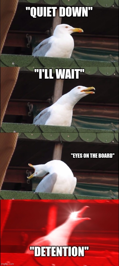 Inhaling Seagull | "QUIET DOWN"; "I'LL WAIT"; "EYES ON THE BOARD"; "DETENTION" | image tagged in memes,inhaling seagull | made w/ Imgflip meme maker