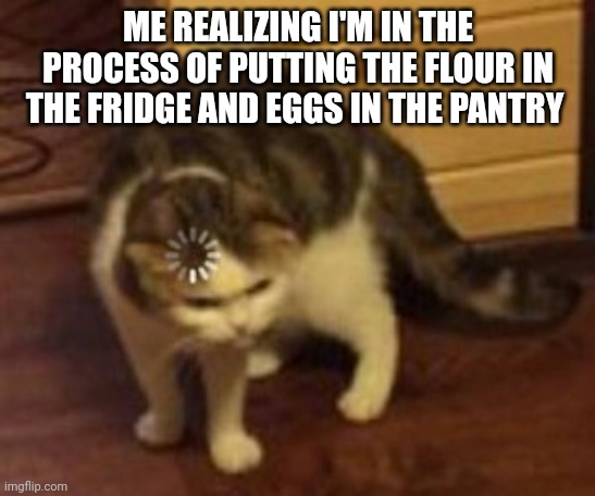 Baker problems | ME REALIZING I'M IN THE PROCESS OF PUTTING THE FLOUR IN THE FRIDGE AND EGGS IN THE PANTRY | image tagged in loading cat | made w/ Imgflip meme maker