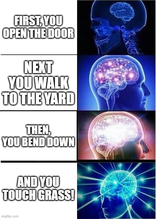 200 IQ person | FIRST, YOU OPEN THE DOOR; NEXT YOU WALK TO THE YARD; THEN, YOU BEND DOWN; AND YOU TOUCH GRASS! | image tagged in memes,expanding brain | made w/ Imgflip meme maker