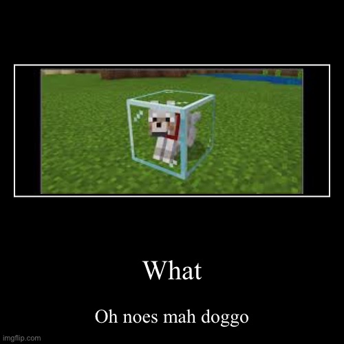 What | Oh noes mah doggo | image tagged in funny,demotivationals | made w/ Imgflip demotivational maker