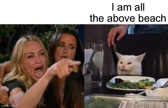 Woman Yelling At Cat Meme | I am all the above beach | image tagged in memes,woman yelling at cat | made w/ Imgflip meme maker