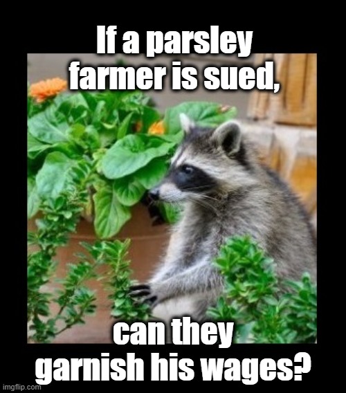 Groaner Alert | If a parsley farmer is sued, can they garnish his wages? | image tagged in farmer,lawsuit,raccoon meme,wage garnish | made w/ Imgflip meme maker