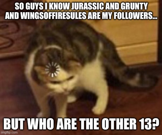 Reveal yourselves | SO GUYS I KNOW JURASSIC AND GRUNTY AND WINGSOFFIRESULES ARE MY FOLLOWERS…; BUT WHO ARE THE OTHER 13? | image tagged in loading cat,followers | made w/ Imgflip meme maker