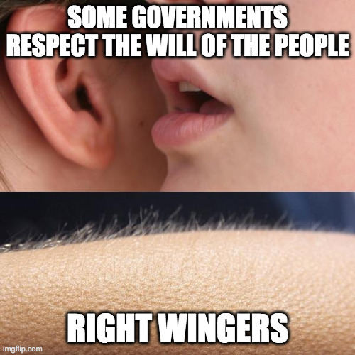 democracy | SOME GOVERNMENTS RESPECT THE WILL OF THE PEOPLE; RIGHT WINGERS | image tagged in whisper and goosebumps | made w/ Imgflip meme maker