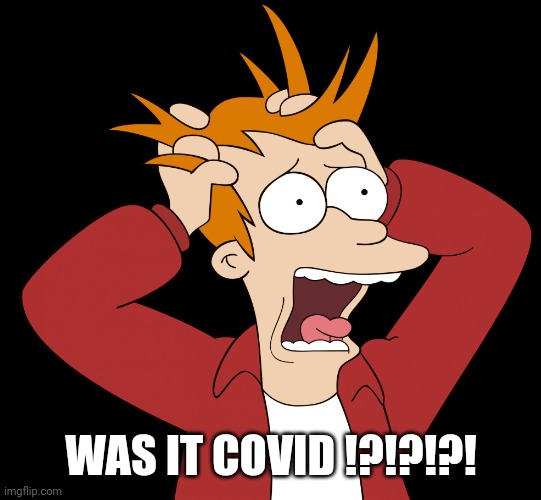 Futurama Fry Screaming | WAS IT COVID !?!?!?! | image tagged in futurama fry screaming | made w/ Imgflip meme maker