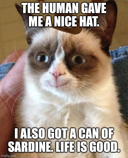 Grumpy Cat Happy | THE HUMAN GAVE ME A NICE HAT. I ALSO GOT A CAN OF SARDINE. LIFE IS GOOD. | image tagged in memes,happy,kitty | made w/ Imgflip meme maker