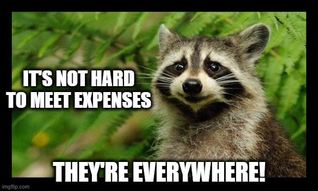 They ain't shy either! | IT'S NOT HARD TO MEET EXPENSES; THEY'RE EVERYWHERE! | image tagged in family budget,making a living,raccoon meme,expenses | made w/ Imgflip meme maker