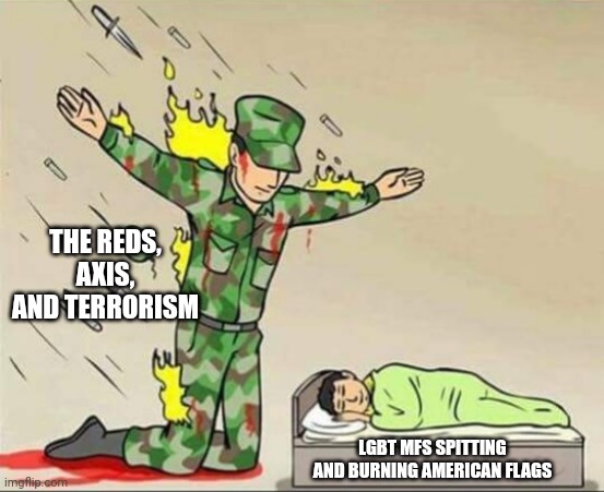 Soldier protecting sleeping child | THE REDS, AXIS, AND TERRORISM; LGBT MFS SPITTING AND BURNING AMERICAN FLAGS | image tagged in soldier protecting sleeping child | made w/ Imgflip meme maker