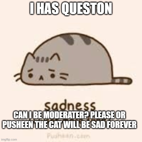 sad pusheen | I HAS QUESTON; CAN I BE MODERATER? PLEASE OR PUSHEEN THE CAT WILL BE SAD FOREVER | image tagged in sad pusheen | made w/ Imgflip meme maker