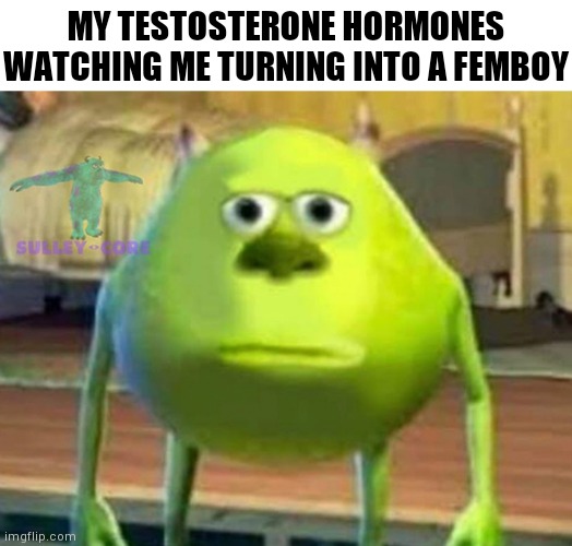 They can't stop me | MY TESTOSTERONE HORMONES WATCHING ME TURNING INTO A FEMBOY | image tagged in monsters inc,femboy,testosterone,feminine,hormones | made w/ Imgflip meme maker
