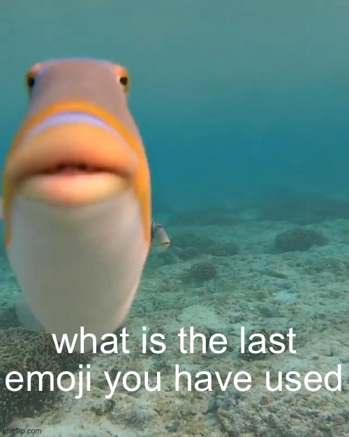 emoji check | what is the last emoji you have used | image tagged in funni | made w/ Imgflip meme maker
