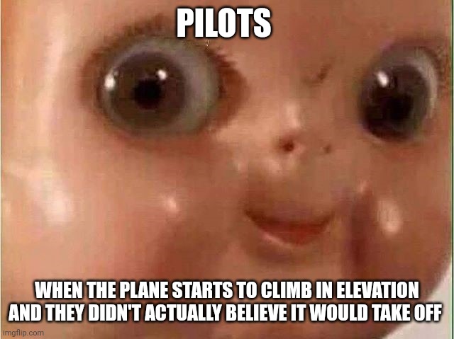 I didn't think it would fly | PILOTS; WHEN THE PLANE STARTS TO CLIMB IN ELEVATION AND THEY DIDN'T ACTUALLY BELIEVE IT WOULD TAKE OFF | image tagged in creepy doll | made w/ Imgflip meme maker