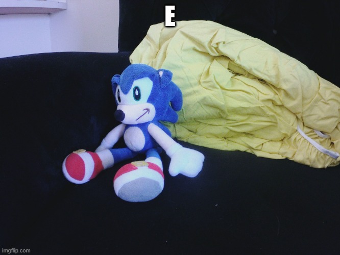 sonic questioning life | E | image tagged in sonic questioning life | made w/ Imgflip meme maker