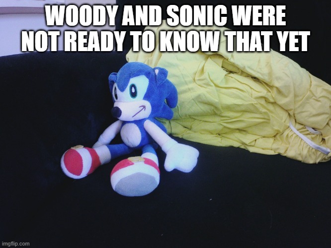 sonic questioning life | WOODY AND SONIC WERE NOT READY TO KNOW THAT YET | image tagged in sonic questioning life | made w/ Imgflip meme maker