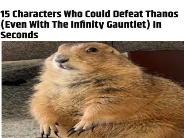 15 characters that could defeat thanos: Big Ounce | image tagged in marvel,mcu,urban rescue ranch,animals,funny animals,funny animal meme | made w/ Imgflip meme maker