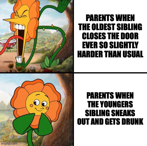 angry flower | PARENTS WHEN THE OLDEST SIBLING CLOSES THE DOOR EVER SO SLIGHTLY HARDER THAN USUAL; PARENTS WHEN THE YOUNGERS SIBLING SNEAKS OUT AND GETS DRUNK | image tagged in angry flower | made w/ Imgflip meme maker