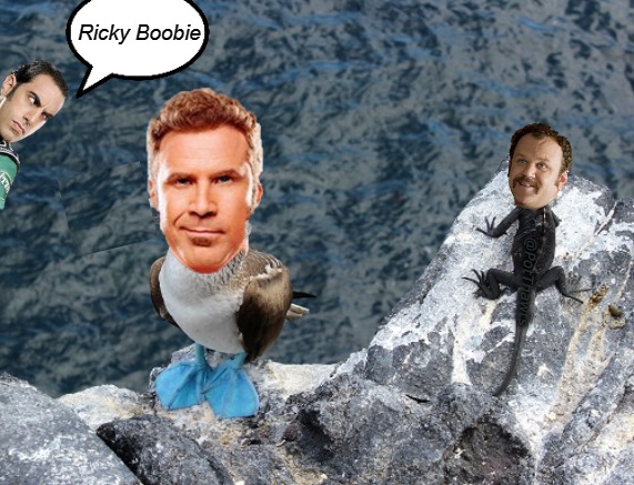 Ricky Boobie | Ricky Boobie; @PotThawts | image tagged in ricky bobby,funny memes,animals,will ferrell | made w/ Imgflip meme maker