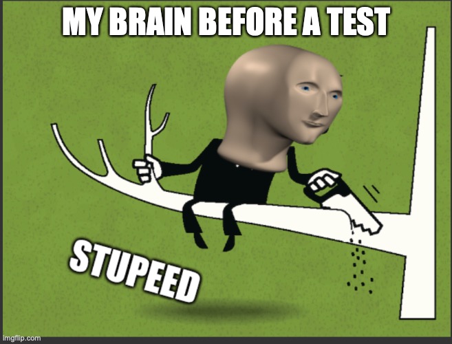 Meme Man Stupeed | MY BRAIN BEFORE A TEST | image tagged in meme man stupeed | made w/ Imgflip meme maker