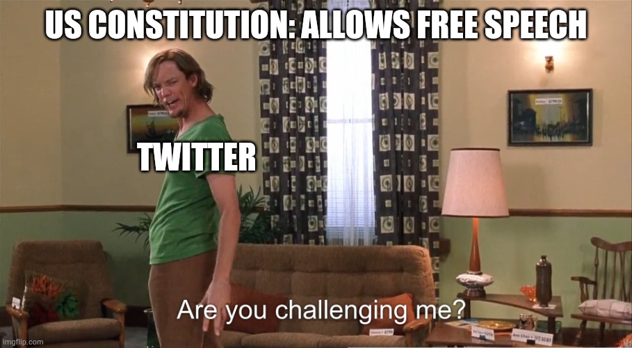 Are you challenging me Shaggy | US CONSTITUTION: ALLOWS FREE SPEECH; TWITTER | image tagged in are you challenging me shaggy | made w/ Imgflip meme maker