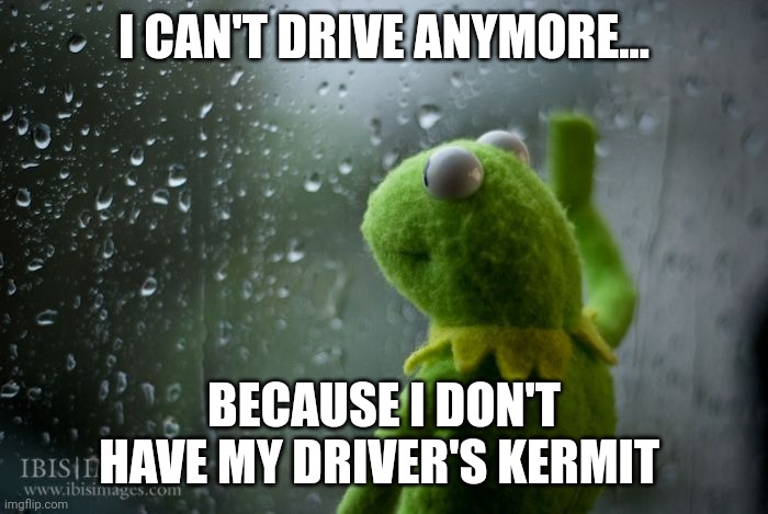 I don't have my driver's Kermit | I CAN'T DRIVE ANYMORE... BECAUSE I DON'T HAVE MY DRIVER'S KERMIT | image tagged in kermit window,puns,jokes,jpfan102504 | made w/ Imgflip meme maker