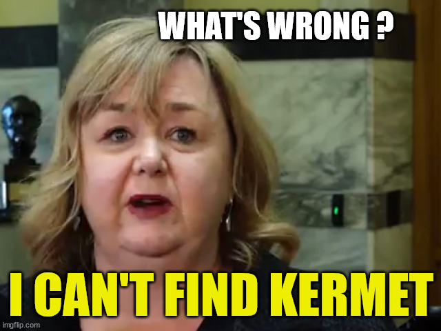 Megan Woods | WHAT'S WRONG ? I CAN'T FIND KERMET | image tagged in new zealand,fugly,miss piggy,kermit the frog,twat,hungry | made w/ Imgflip meme maker