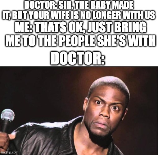 kevin heart idiot | DOCTOR: SIR, THE BABY MADE IT, BUT YOUR WIFE IS NO LONGER WITH US; ME: THATS OK, JUST BRING ME TO THE PEOPLE SHE'S WITH; DOCTOR: | image tagged in kevin heart idiot | made w/ Imgflip meme maker