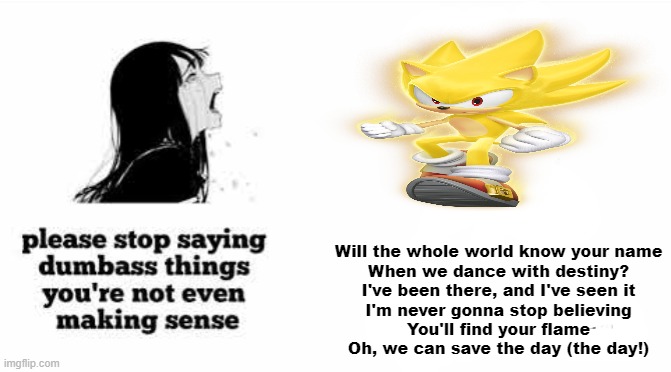 SONIC!?!? | Will the whole world know your name
When we dance with destiny?
I've been there, and I've seen it
I'm never gonna stop believing
You'll find your flame
Oh, we can save the day (the day!) | image tagged in please stop saying dumbass things youre not even making sense | made w/ Imgflip meme maker