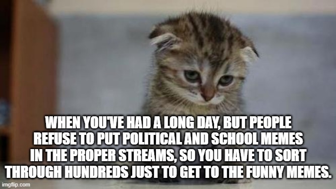 Makes you laugh less | WHEN YOU'VE HAD A LONG DAY, BUT PEOPLE REFUSE TO PUT POLITICAL AND SCHOOL MEMES IN THE PROPER STREAMS, SO YOU HAVE TO SORT THROUGH HUNDREDS JUST TO GET TO THE FUNNY MEMES. | image tagged in sad kitten | made w/ Imgflip meme maker