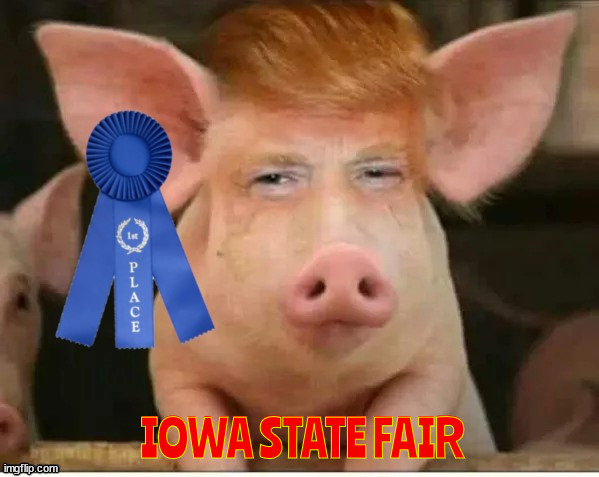 Iowa State Fair | IOWA STATE FAIR | image tagged in frist prize hog,iowa state fair,pig,hog,piggy,the whole hog | made w/ Imgflip meme maker