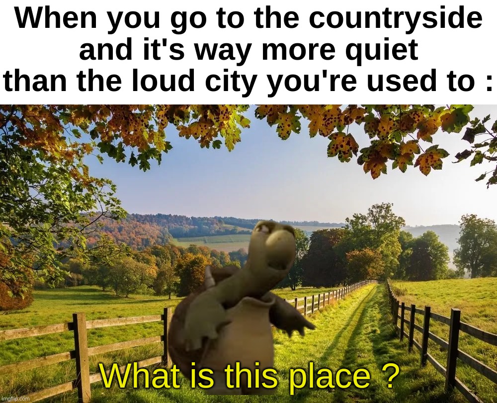 Fr it's so quiet | When you go to the countryside and it's way more quiet than the loud city you're used to :; What is this place ? | image tagged in memes,funny,relatable,countryside,quiet,front page plz | made w/ Imgflip meme maker