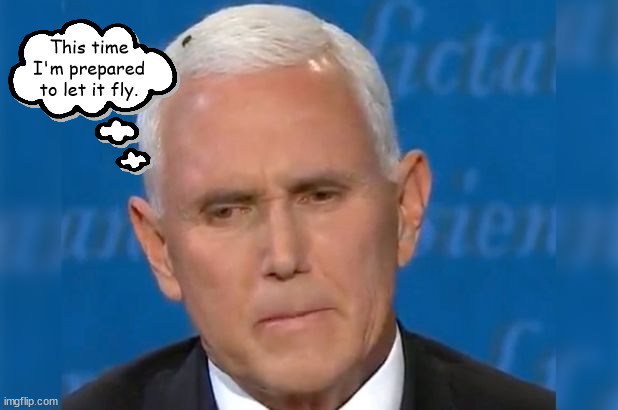 Pence makes 2023 debate | This time I'm prepared to let it fly. | image tagged in mike pence fly debate,maga,hangman,noose,cult mob,donald trump | made w/ Imgflip meme maker
