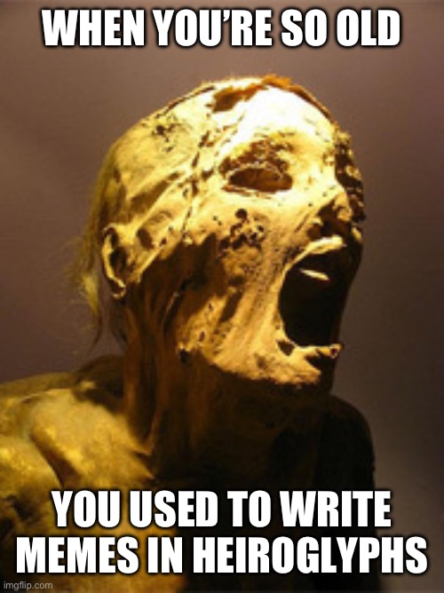 Heiroglyphs | WHEN YOU’RE SO OLD; YOU USED TO WRITE MEMES IN HEIROGLYPHS | image tagged in the mummy | made w/ Imgflip meme maker