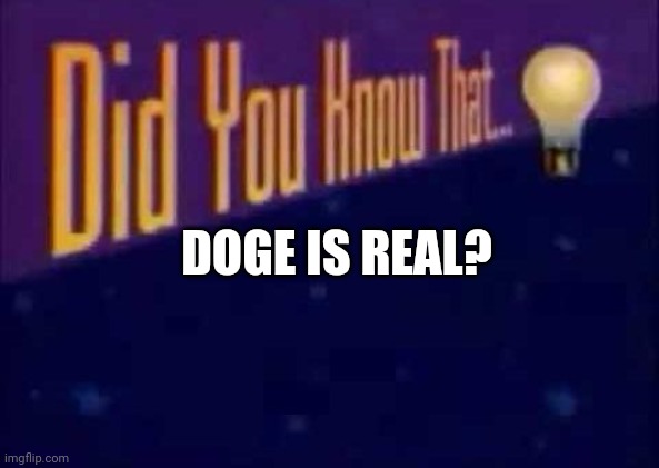 Did you know that... | DOGE IS REAL? | image tagged in did you know that | made w/ Imgflip meme maker