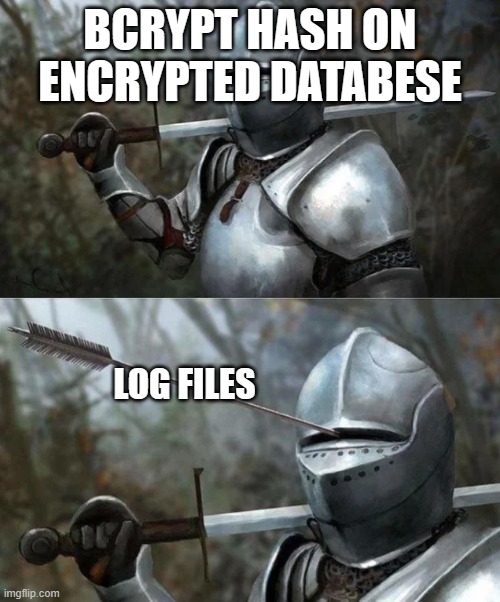 Password logging | BCRYPT HASH ON ENCRYPTED DATABESE; LOG FILES | image tagged in medieval knight with arrow in eye slot | made w/ Imgflip meme maker