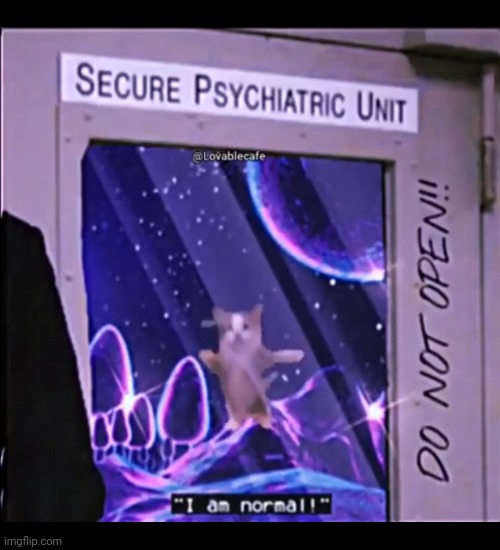 I am normal, secure psychiatric unit. | image tagged in i am normal secure psychiatric unit | made w/ Imgflip meme maker