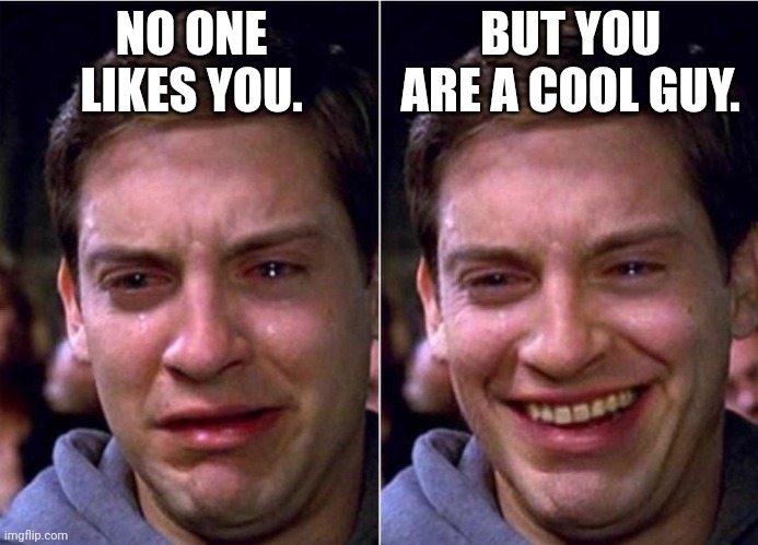 Peter Parker Sad Cry Happy cry | NO ONE LIKES YOU. BUT YOU ARE A COOL GUY. | image tagged in peter parker sad cry happy cry | made w/ Imgflip meme maker