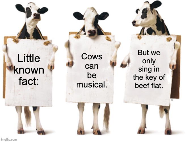 Moo-sical | But we only sing in the key of beef flat. Cows can be musical. Little known fact: | image tagged in chick-fil-a 3 cow billboard fixed textboxes,dad joke | made w/ Imgflip meme maker