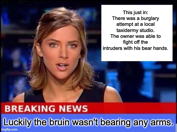 Trouble bruin | This just in: There was a burglary attempt at a local taxidermy studio. The owner was able to fight off the intruders with his bear hands. Luckily the bruin wasn't bearing any arms. | image tagged in breaking news | made w/ Imgflip meme maker
