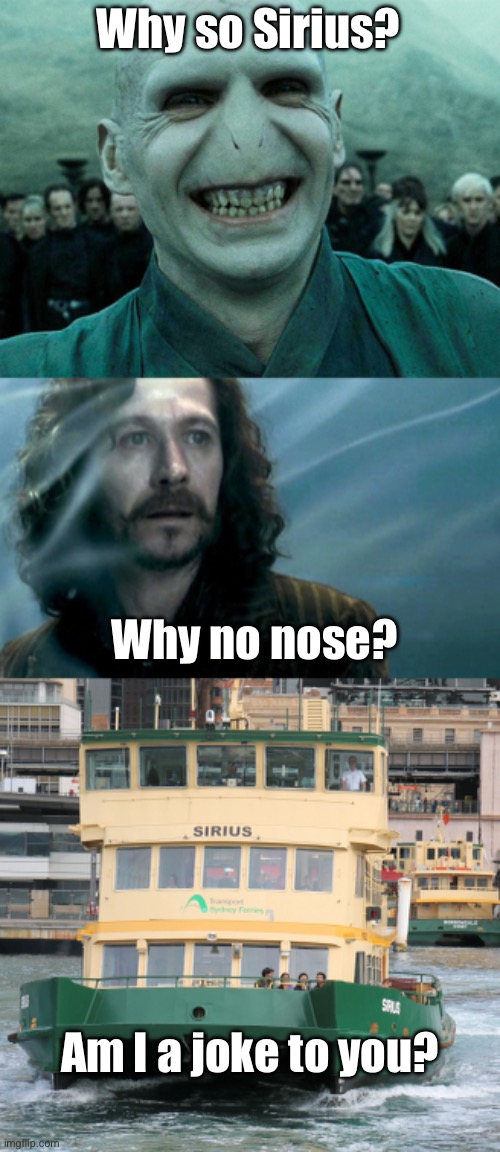 Sirius meme | Why so Sirius? Why no nose? Am I a joke to you? | image tagged in voldermort funny,sirius black,ferry | made w/ Imgflip meme maker