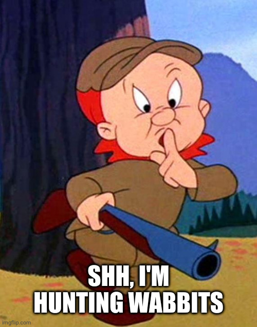 Elmer Fudd | SHH, I'M HUNTING WABBITS | image tagged in elmer fudd | made w/ Imgflip meme maker
