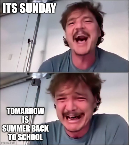 school | ITS SUNDAY; TOMARROW IS SUMMER BACK TO SCHOOL | image tagged in pedro pascal,back to school | made w/ Imgflip meme maker
