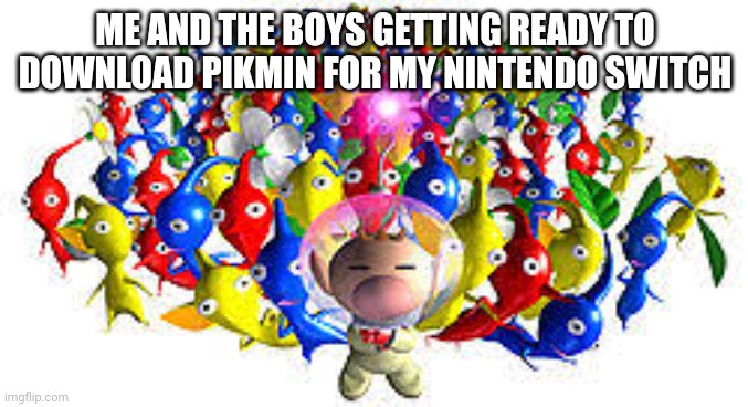 Pikmins | ME AND THE BOYS GETTING READY TO DOWNLOAD PIKMIN FOR MY NINTENDO SWITCH | image tagged in pikmins | made w/ Imgflip meme maker