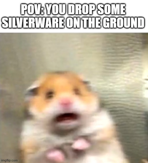 The super loud sound scares me every time! | POV: YOU DROP SOME SILVERWARE ON THE GROUND | image tagged in scared hamster | made w/ Imgflip meme maker