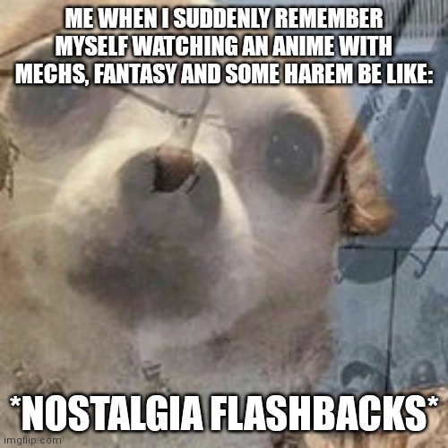 I created this meme because of myself remembering about me watching a less-known mech anime with my sister(?) | ME WHEN I SUDDENLY REMEMBER MYSELF WATCHING AN ANIME WITH MECHS, FANTASY AND SOME HAREM BE LIKE:; *NOSTALGIA FLASHBACKS* | image tagged in vietnam dog flashbacks,anime,nostalgia | made w/ Imgflip meme maker