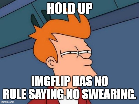 suspishes | HOLD UP; IMGFLIP HAS NO RULE SAYING NO SWEARING. | image tagged in memes,futurama fry,meme | made w/ Imgflip meme maker