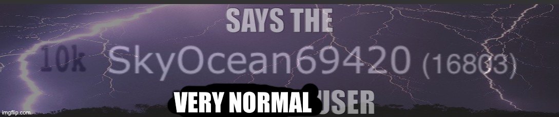 SkyOcean Says The guy | VERY NORMAL | image tagged in skyocean says the guy | made w/ Imgflip meme maker