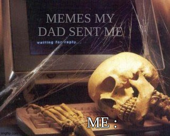 Dead Skeleton | MEMES MY DAD SENT ME ME : | image tagged in dead skeleton | made w/ Imgflip meme maker